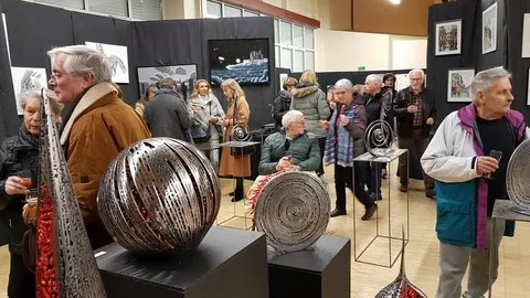 Salon d'art du 25 janvier 2020 Catherine Aliquot-Vialat, salon d'art du 25 janvier 2020, St Pierre du Perray